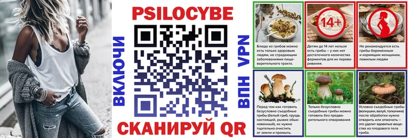 Псилоцибиновые грибы Psilocybe  продажа наркотиков  кракен зеркало  Юрга 